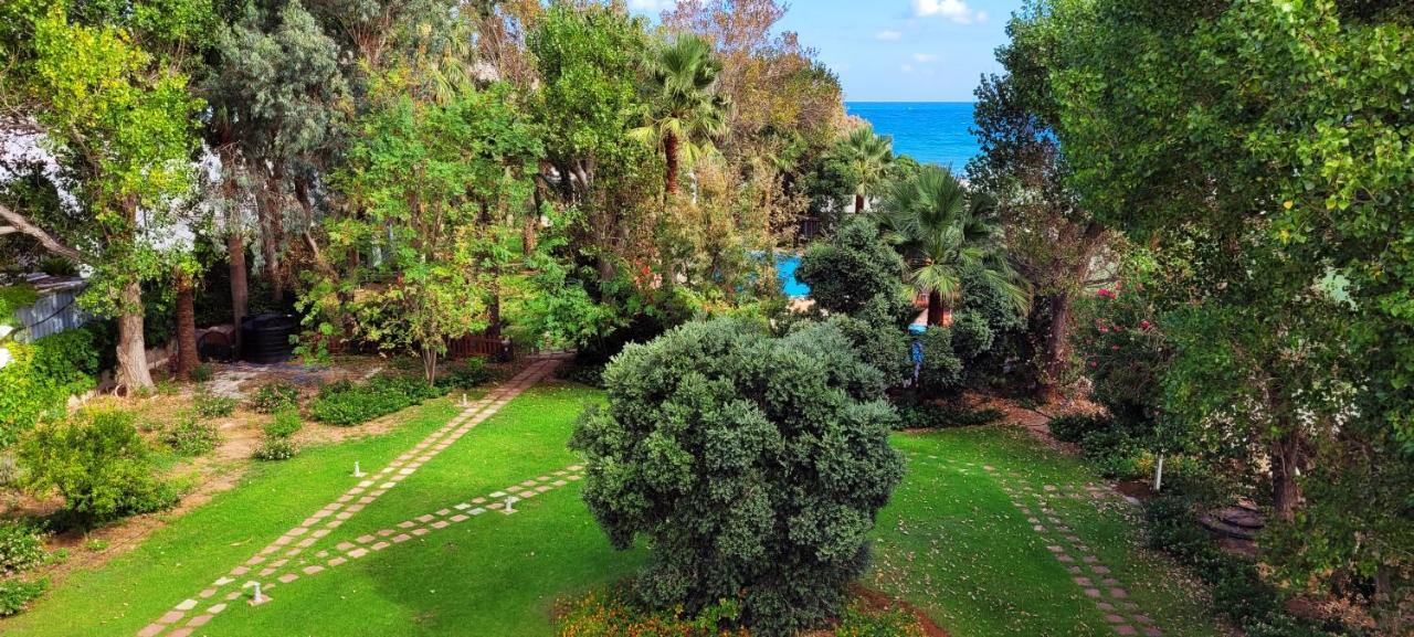 חאניה Marita'S Apartments מראה חיצוני תמונה